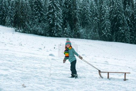 冬天快乐的孩子在雪地的森林里滑行.孩子们，雪橇，雪橇在雪中。小男孩假期过得很愉快