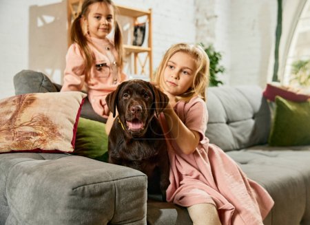两个可爱的小女孩，孩子们在家里玩耍，抱着纯种的狗，棕色的拉布拉多。全家福家庭、童年、宠物、照料、友谊、感情和休闲的概念