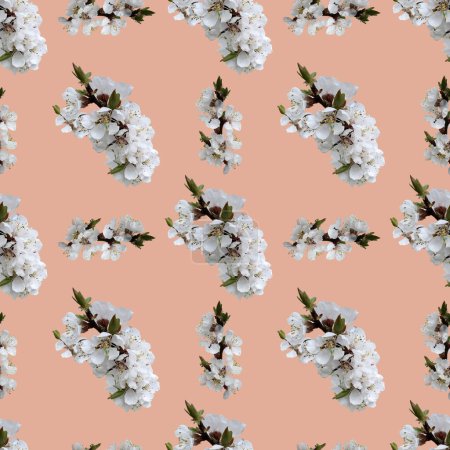杏花枝条无缝隙图案,用于桃色背景下的庆祝设计.美丽的花卉背景.孤立的花朵。织物,纺织品,包装纸用无缝花图案