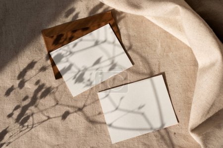 白纸卡片上的硬花色落日阴影，带有复制空间的美观自然商务模板，中性米色背景